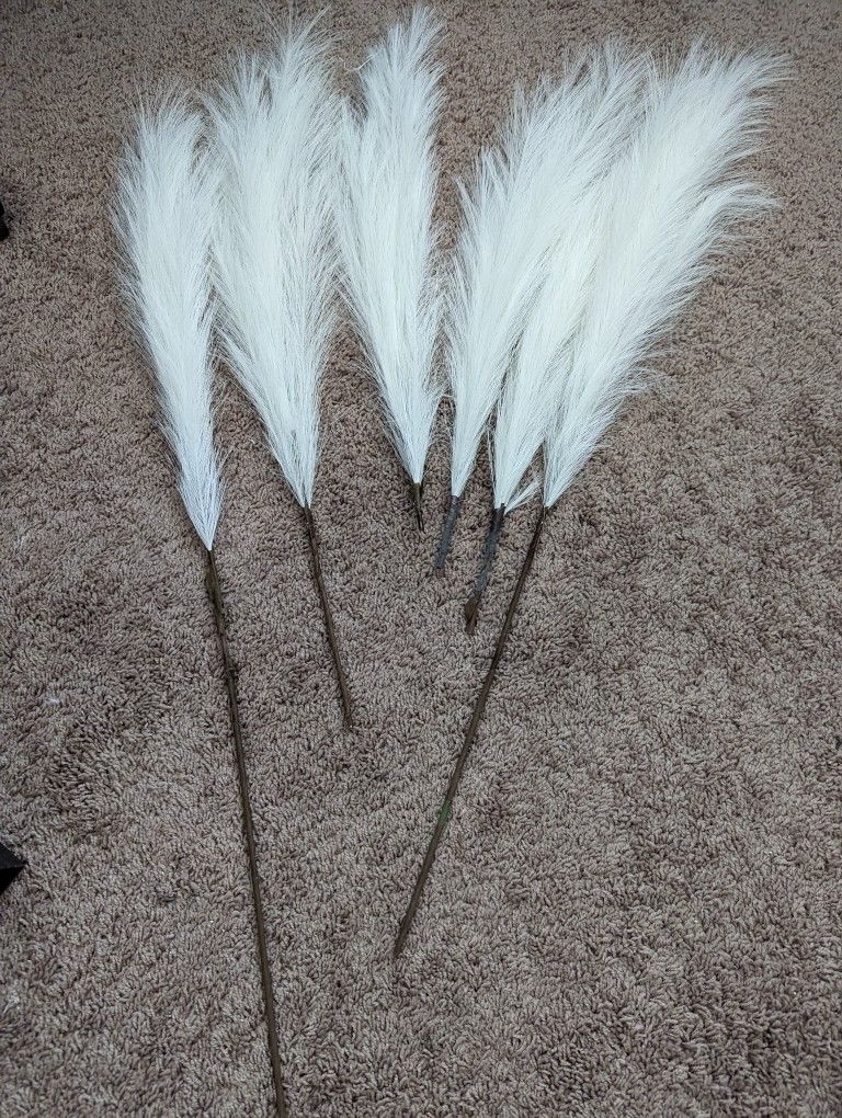 Rustic Themed Pampa's