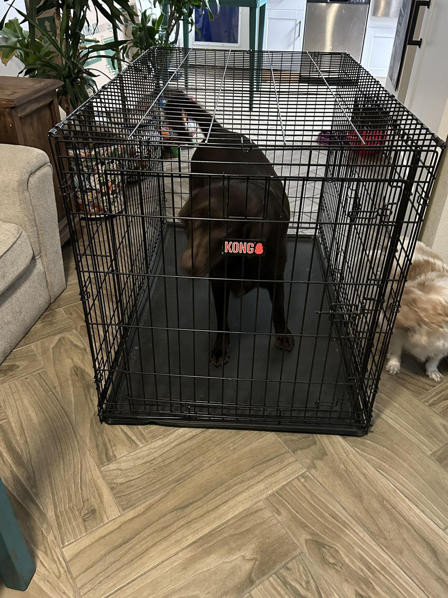 Kong Heavy Duty Extra Large Dog Crate-2 Doors