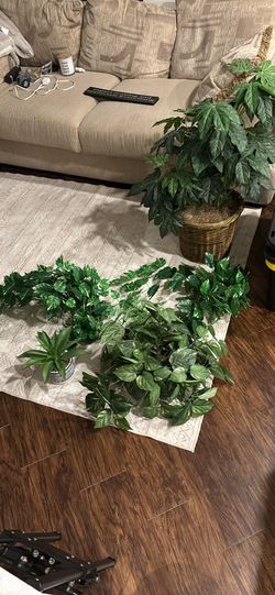 Faux Plants