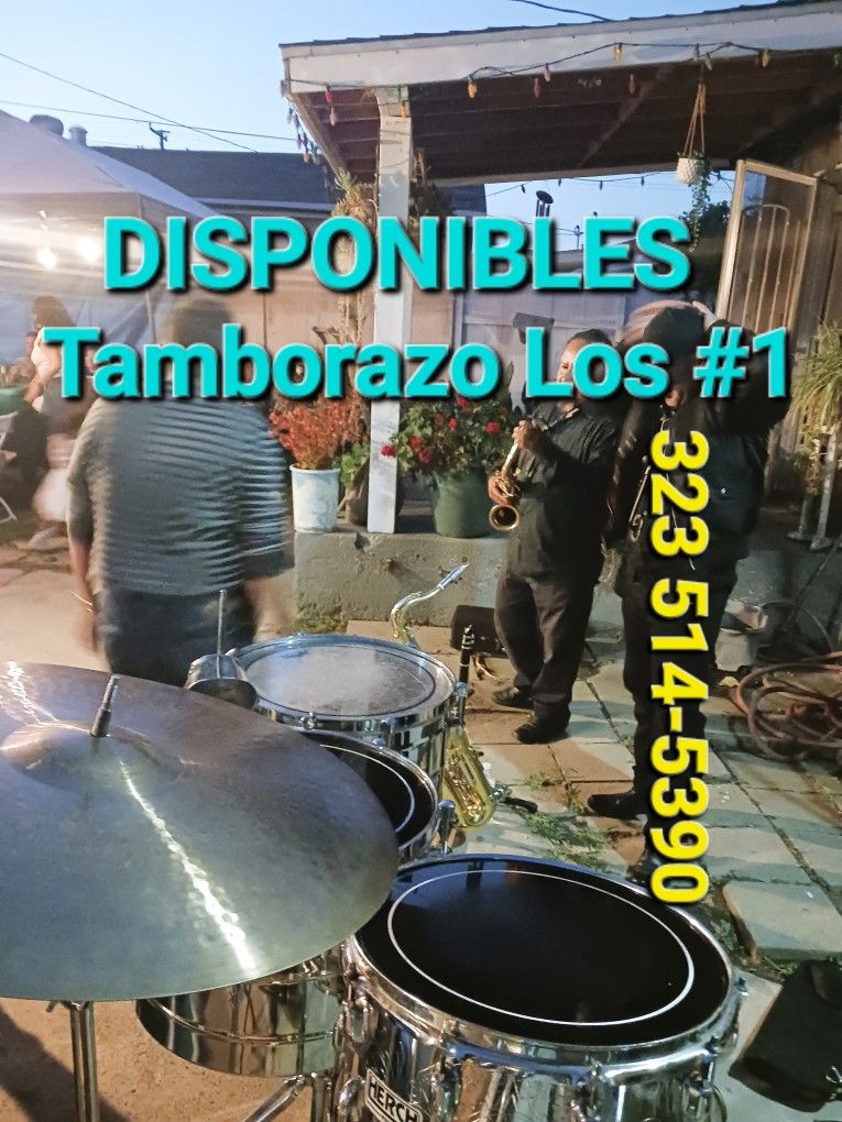 Tamborazo En Vivo AL 100
