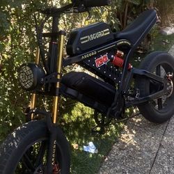 Asgurd Rx Electric Bike