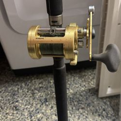 Shimano Calcutta 700B Reel + Ugly Stik Tiger Rod & All Braided Line – Excellent Condition