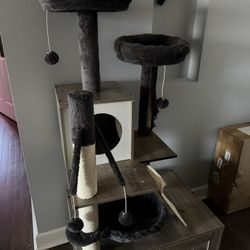 Cat Tree