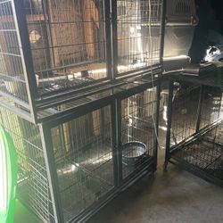 Dog Crates