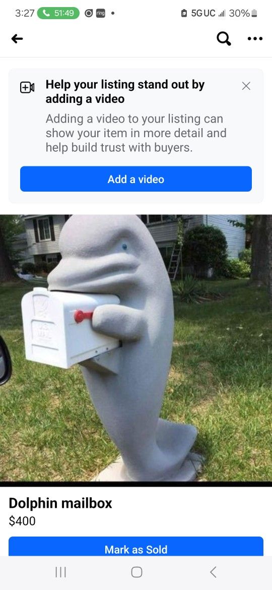 Dolphin Mailbox