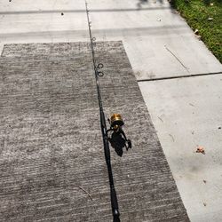 10ft Penn Pursuit II  Fishing Pole / Penn 850ss  4.6:1  Fishing Reel Combo 