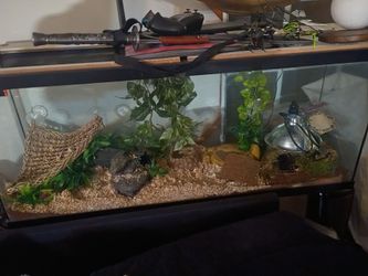 large aquarium reptile habitat