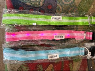 Pet collar (dog or cat)