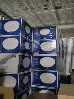 Ceiling Lights 