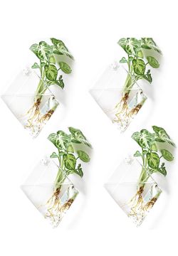 Glass Diamond Wall Hanging Case Terrarium - SET OF 5