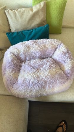 Bed for cats