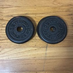 X4 3lbs Weight 