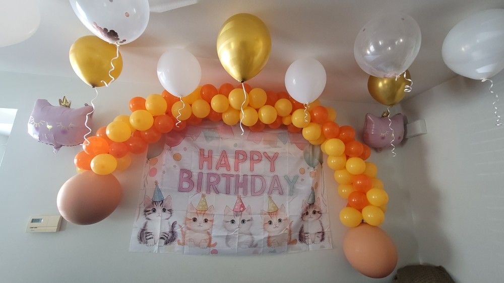 Balloon arch DYI.
Cat themed backdrop banner.
Cat Air inflated balloons.