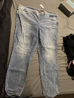 Torrid Jeans