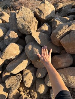 Free landscaping rocks! 100’s of them!
