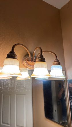 Bathroom vanity light