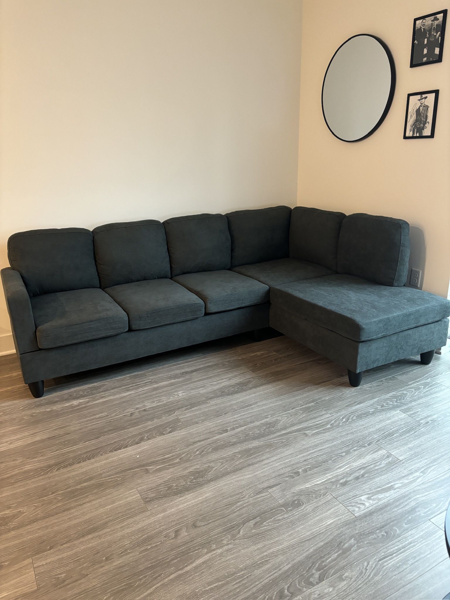 Gray Couch/Sectional