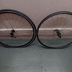Bike Rims