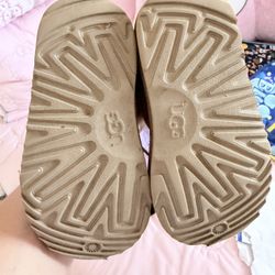 Uggs Boots 