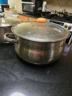 Stainless steel pots