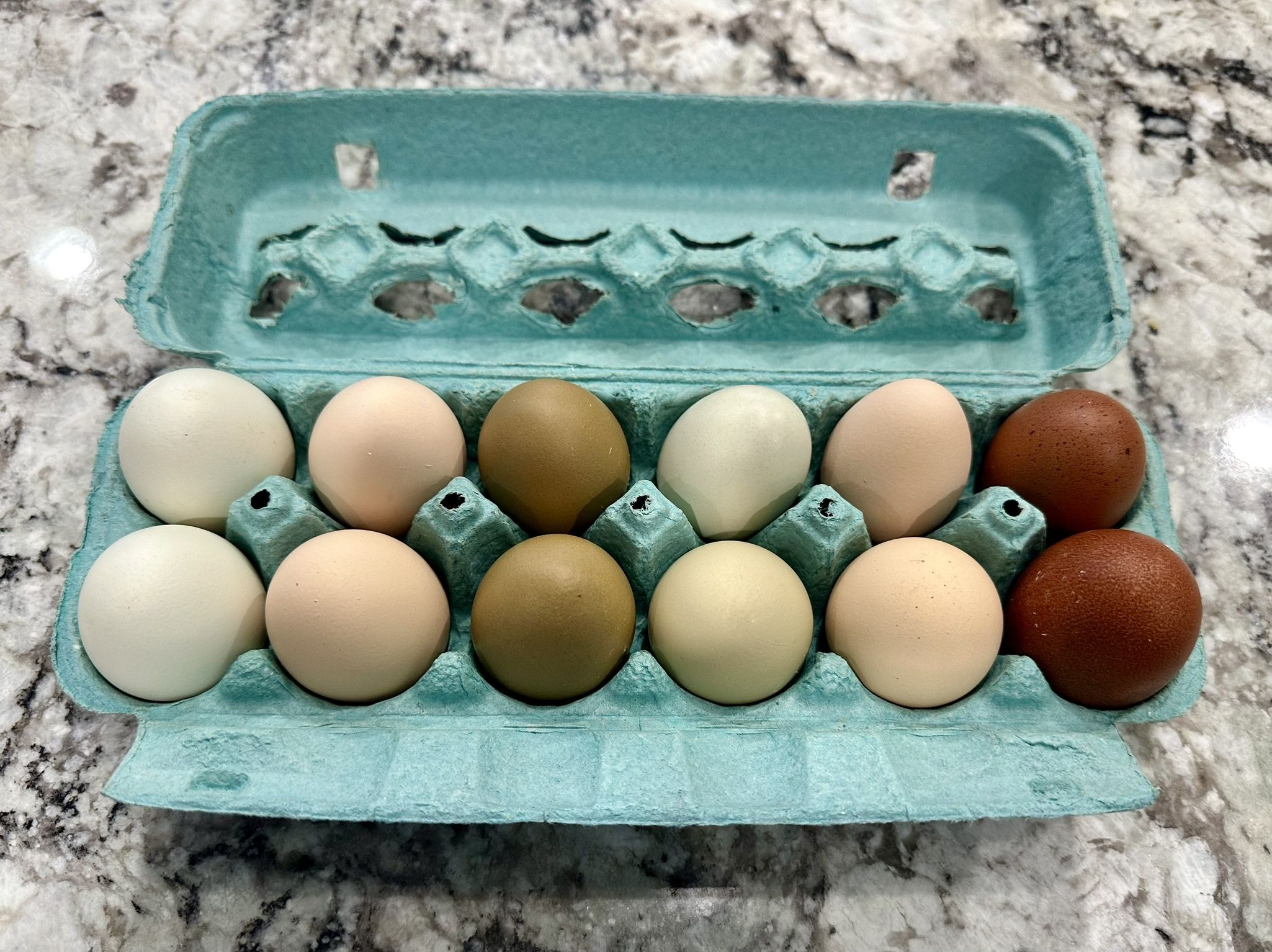 FARM FRESH EGGS