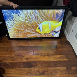 4k panasonic tv!