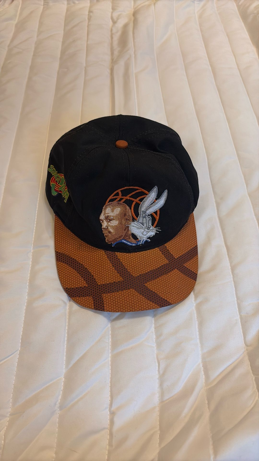 Space Jam 90s Vintage SnapBack