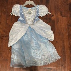 Cinderella Costume With Accessories 
