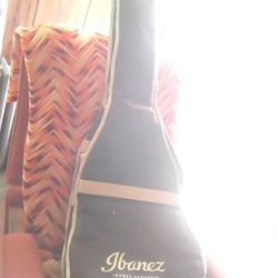 Ibunez Instrument Case Brown And Tan