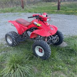 1996 Honda 300ex