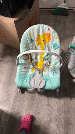 Baby Bouncer 