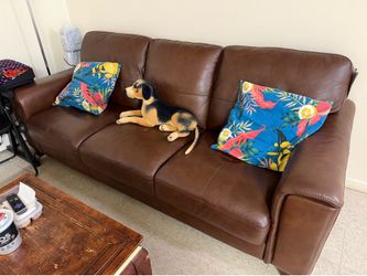 Entire apartment move out sale