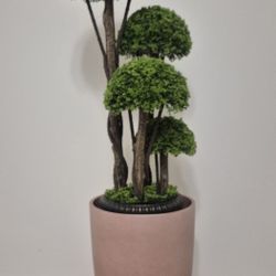Faux Cedar Topiary in 21" Terracotta Resin Planter @ Lasting Creations  