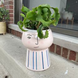 Cactus With Pot 