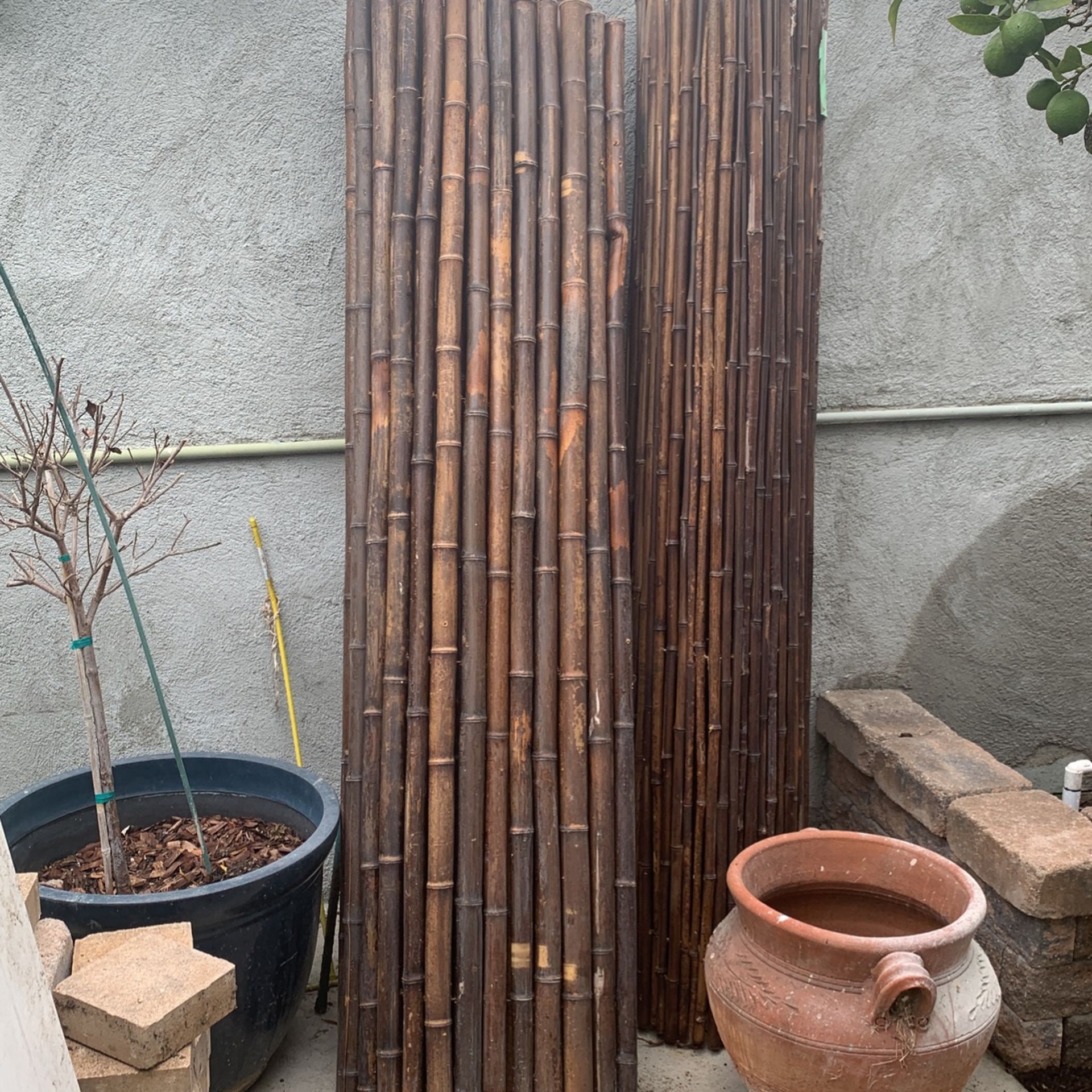 Fence Bamboo  2 panels 6x8