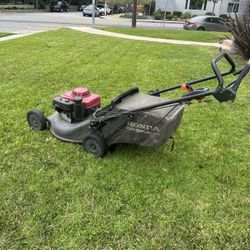 Landscaping And Gardening 