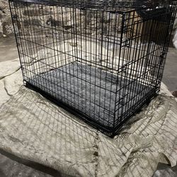 Dog Crate For Sale 