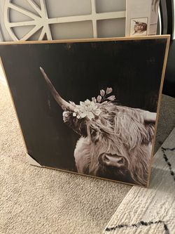 Household pictures