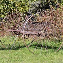 Hay Rake 