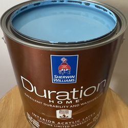 SW (6794 flyaway) Duration Home interior paint