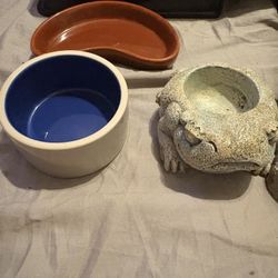 Lizard Or Snake Tank Stuff 