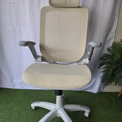 GABRYLLY Ergonomic Office Chair, High Back Home Desk Chair with Headrest, Flip-Up Arms, 90-120° Tilt