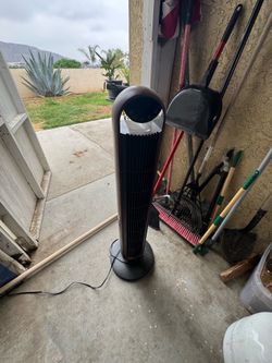 Fan