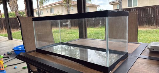 Big glass terrarium with black frame and top mesh