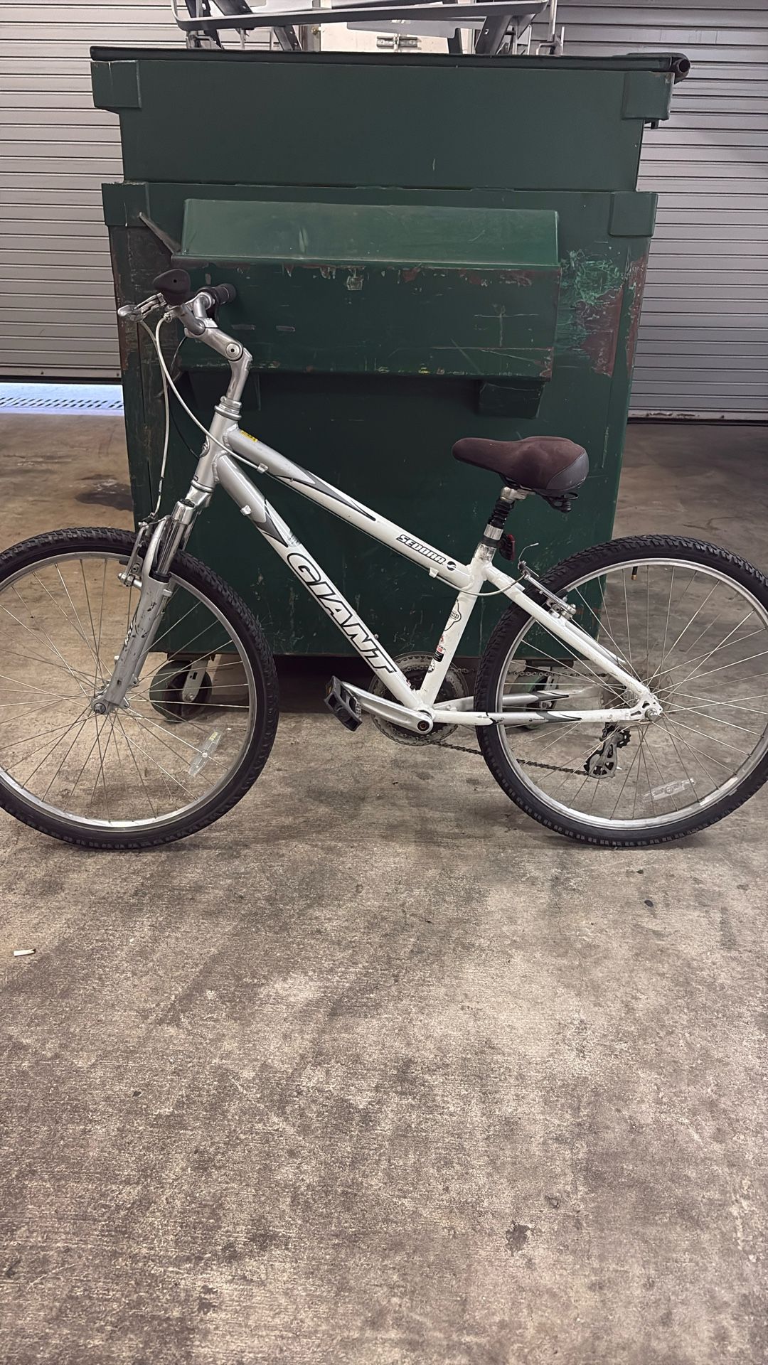 Montañesa Bicicleta