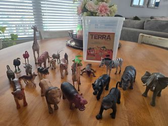 Jungle animals