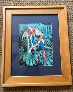 Framed Parrot Picture