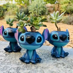 🔥 🔥 🔥 Disney Stitch Planter w Succulent 🪴 🪴 🪴