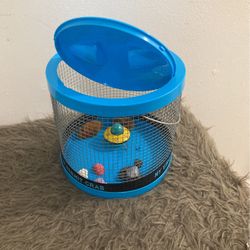 Hermit Crabs 3/3 Blue Cage