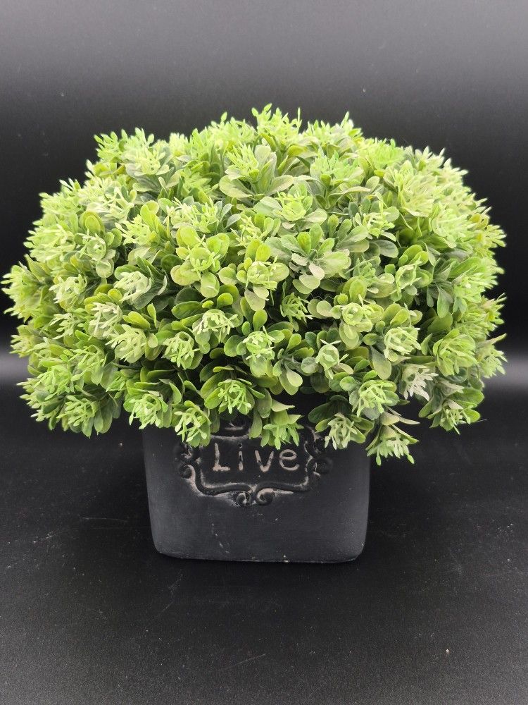 8.5" Faux Boxwood Topiary In Ceramic Pot "Live"